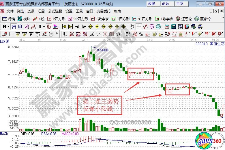 美麗生態的走勢圖